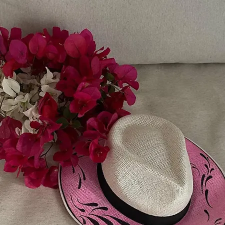 Art Navarino Apartment Gialova