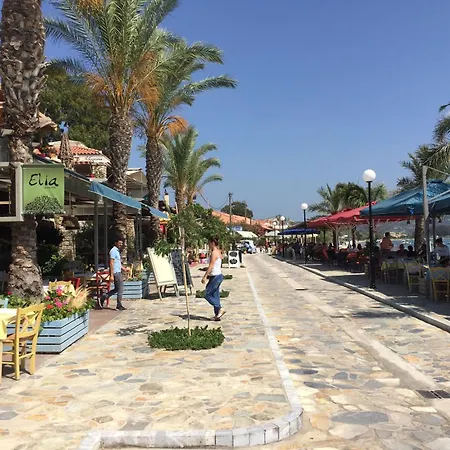 Art Navarino 지아로바